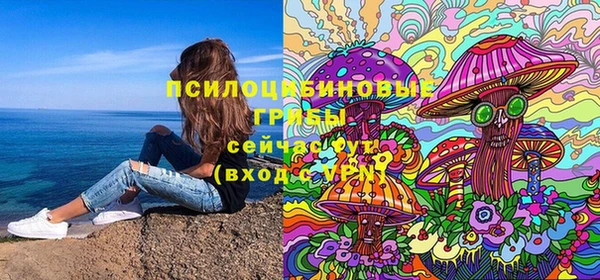 прущая мука Каменка