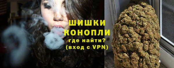 прущая мука Каменка