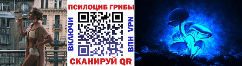 Купить закладки  Дивногорск  Галлюциногенные грибы мухоморы 
