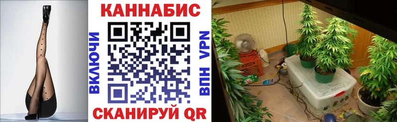 Купить закладки  Дивногорск  Шишки марихуана Ganja 